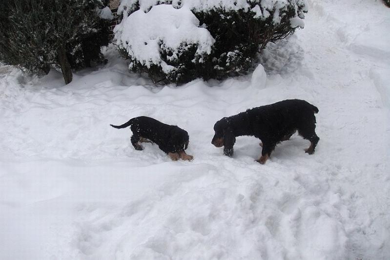 Art_25.1.2010 (12).JPG